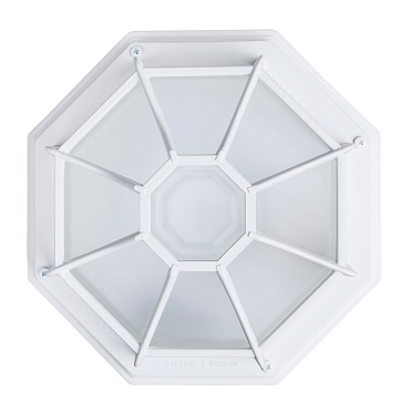 Уличный потолочный светильник Arte Lamp PEGASUS A3100PL-1WH