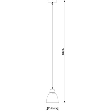 Подвесной светильник Arte Lamp BRACCIO A2054SP-1AB