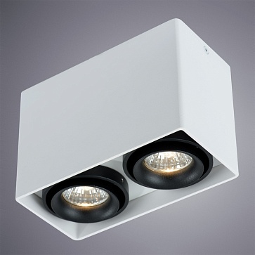 Точечный накладной светильник Arte Lamp PICTOR A5655PL-2WH